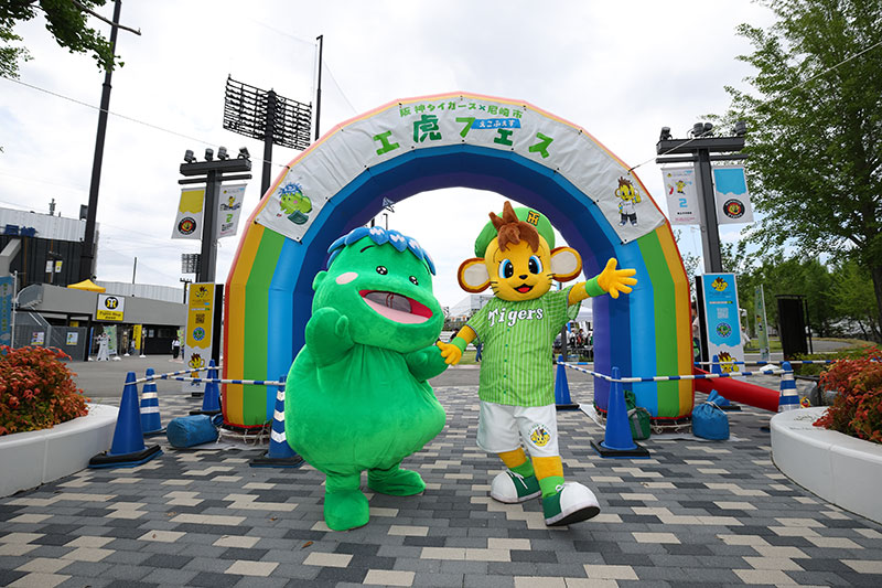 阪神タイガース×尼崎市共同開催 第2回「エ虎フェス」を開催しました