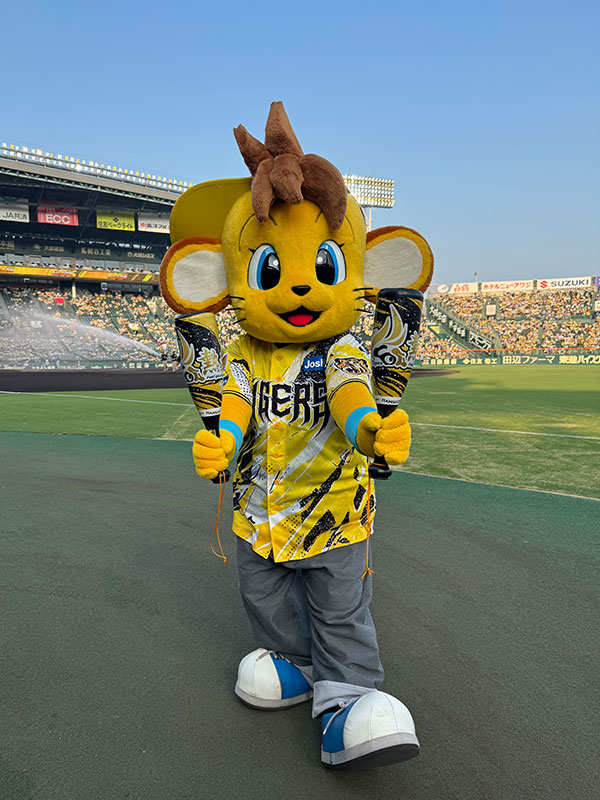 全身虎パーツ　2026 387910 １２月１４日 7月31日(金)～8月2日(日)広島戦「ウル虎の夏2026」フード・グッズ