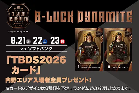 TIGERS B-LUCK DYNAMITE SERIES